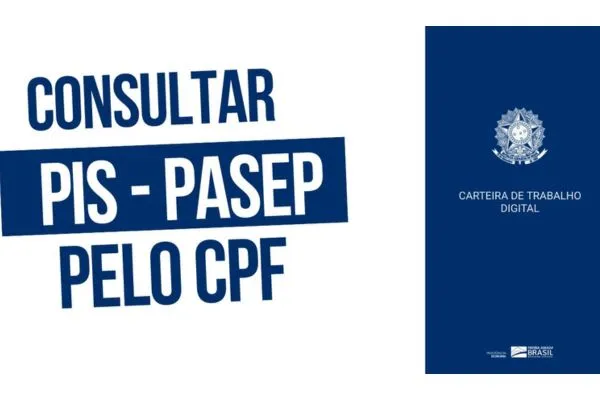 Consultar PIS Pelo CPF