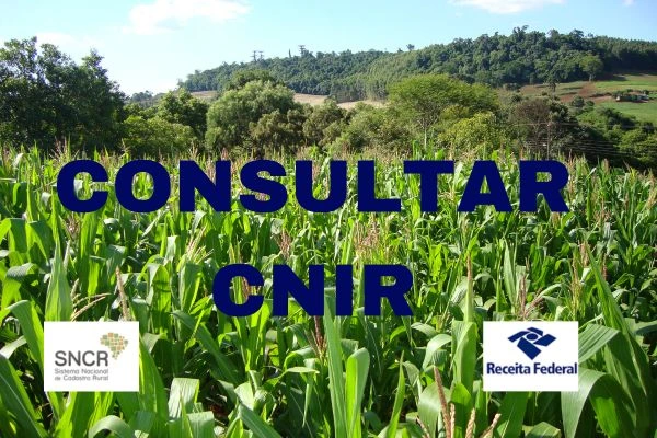 Consultar CNIR